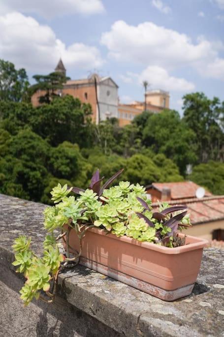 Trasteverina Chic House ローマ エクステリア 写真