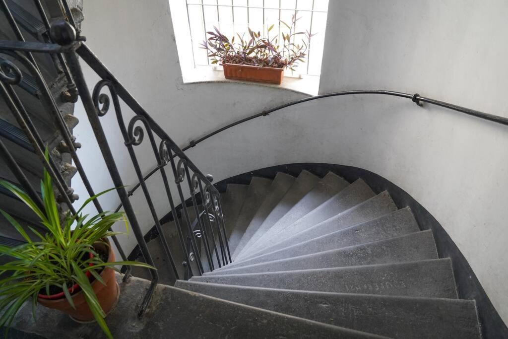Trasteverina Chic House ローマ エクステリア 写真